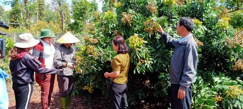 Hội nông dân xã Ea Knuêc làm tốt công tác ủy thác tín chấp giữa cho hội viên vay vốn phát triển kinh tế với Ngân hàng chính sách xã hội huyện. 